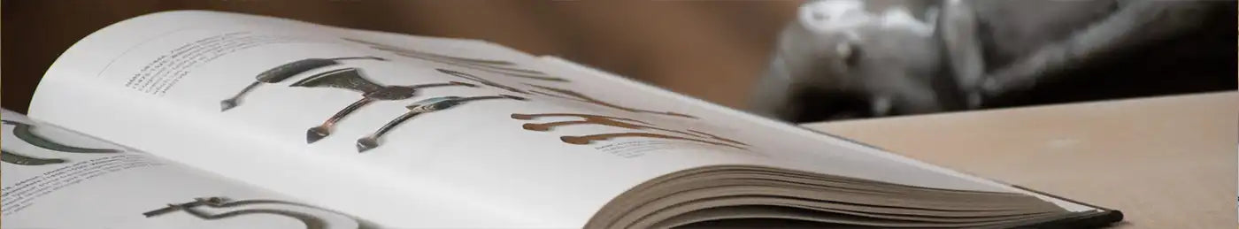 Boeken en tijdschriften
